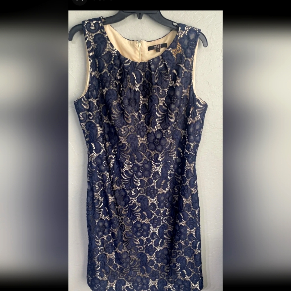 Alex Marie Navy lace Floral lined dress